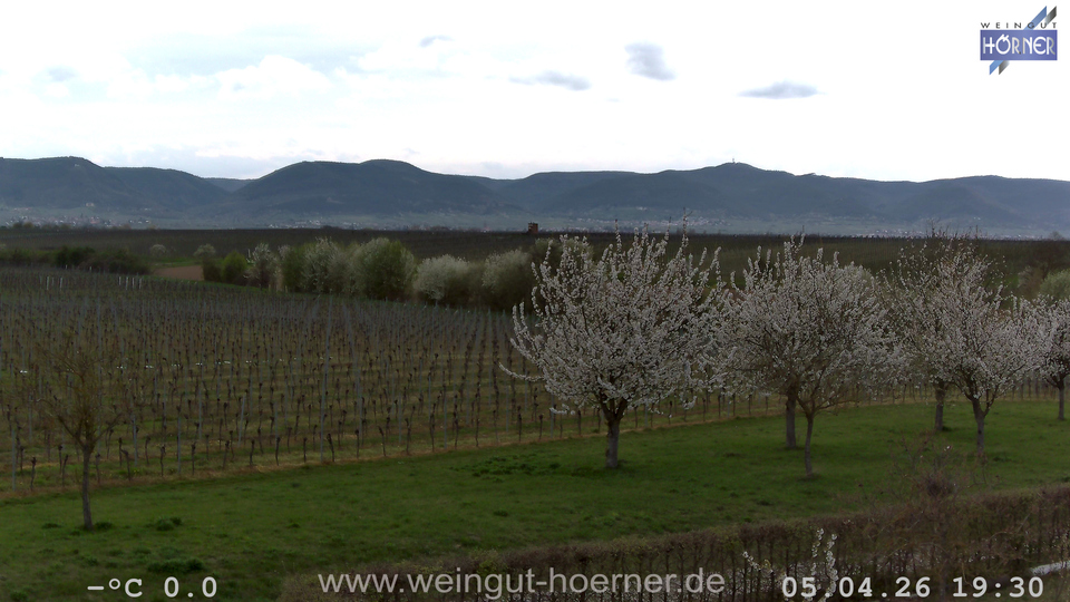 Webcam Weinberge Hochstadt