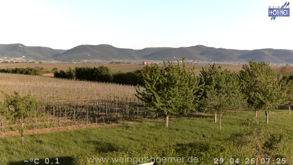 Webcam Weinberge Hochstadt