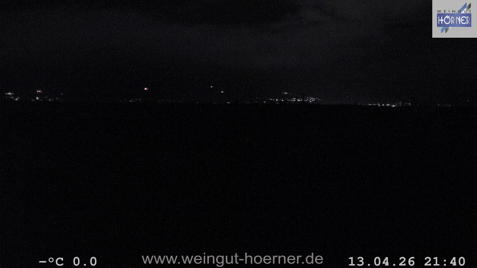 Webcam Weinberge Hochstadt