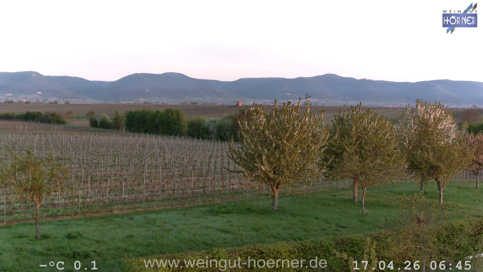Webcam Weinberge Hochstadt