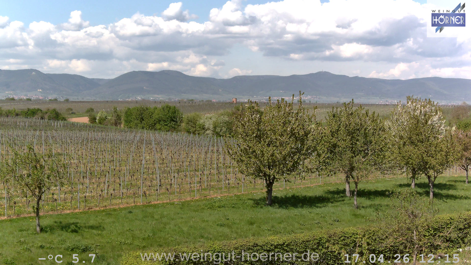 Webcam Weinberge Hochstadt