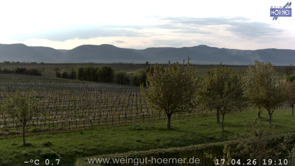 Webcam Weinberge Hochstadt