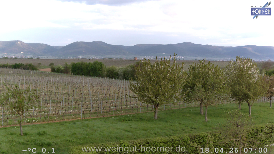 Webcam Weinberge Hochstadt