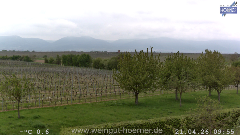 Webcam Weinberge Hochstadt