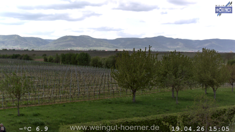 Webcam Weinberge Hochstadt