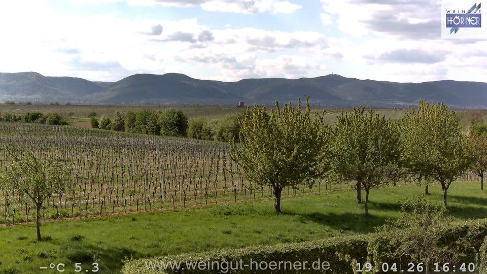 Webcam Weinberge Hochstadt