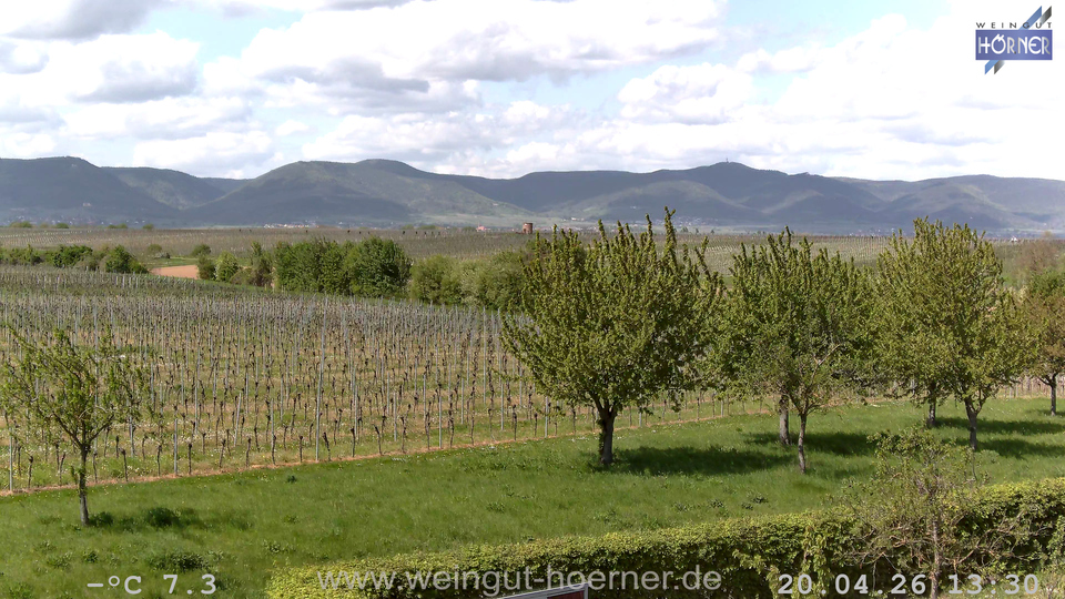 Webcam Weinberge Hochstadt
