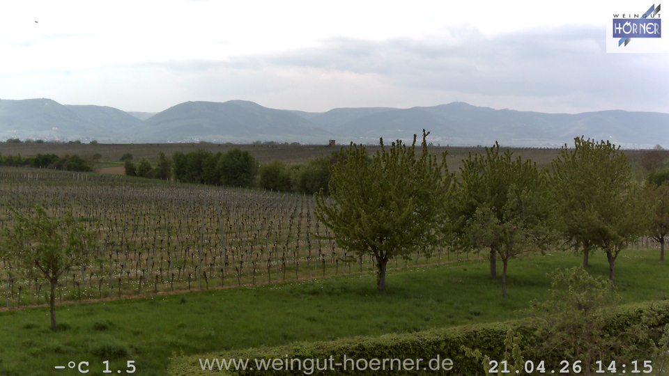 Webcam Weinberge Hochstadt
