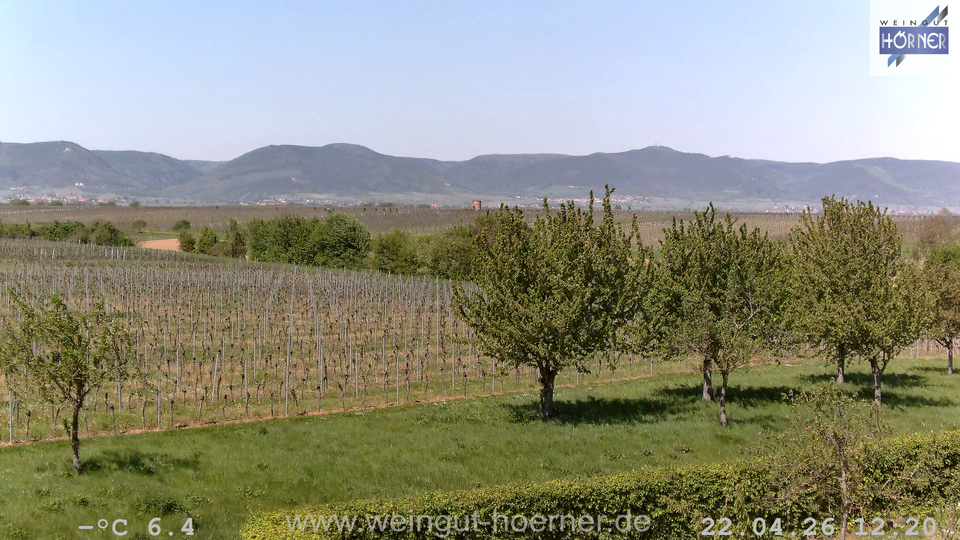 Webcam Weinberge Hochstadt