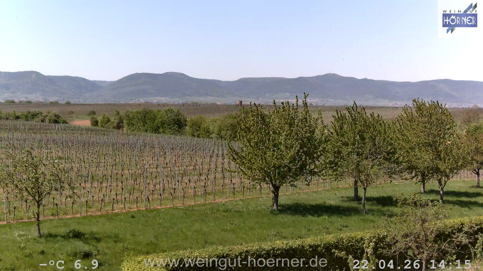 Webcam Weinberge Hochstadt