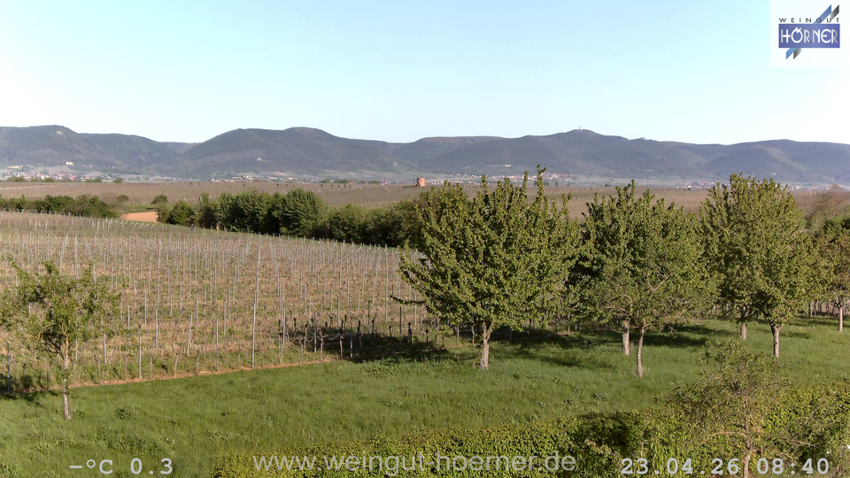 Webcam Weinberge Hochstadt