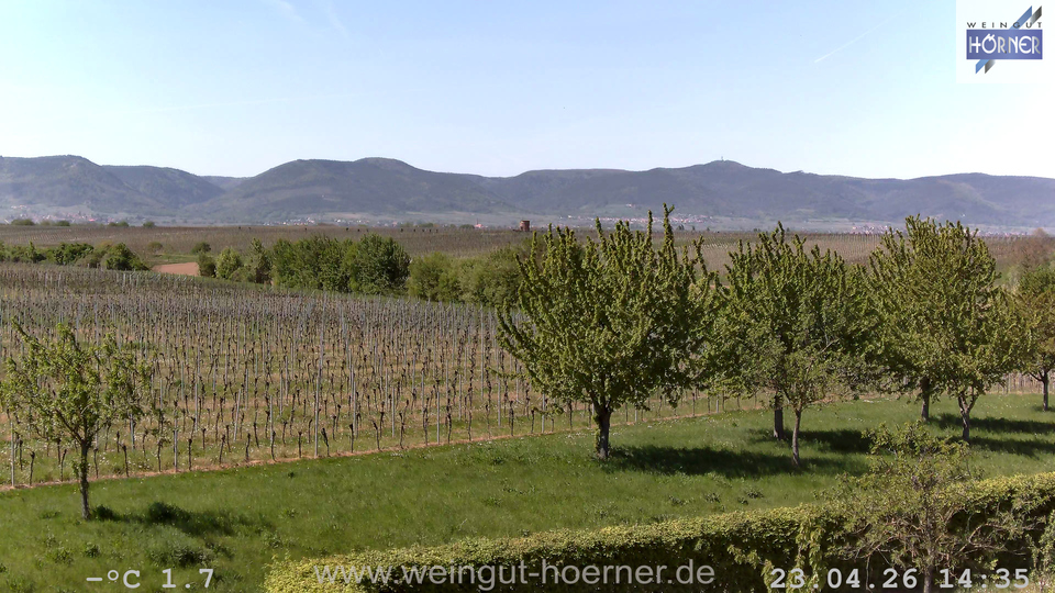 Webcam Weinberge Hochstadt