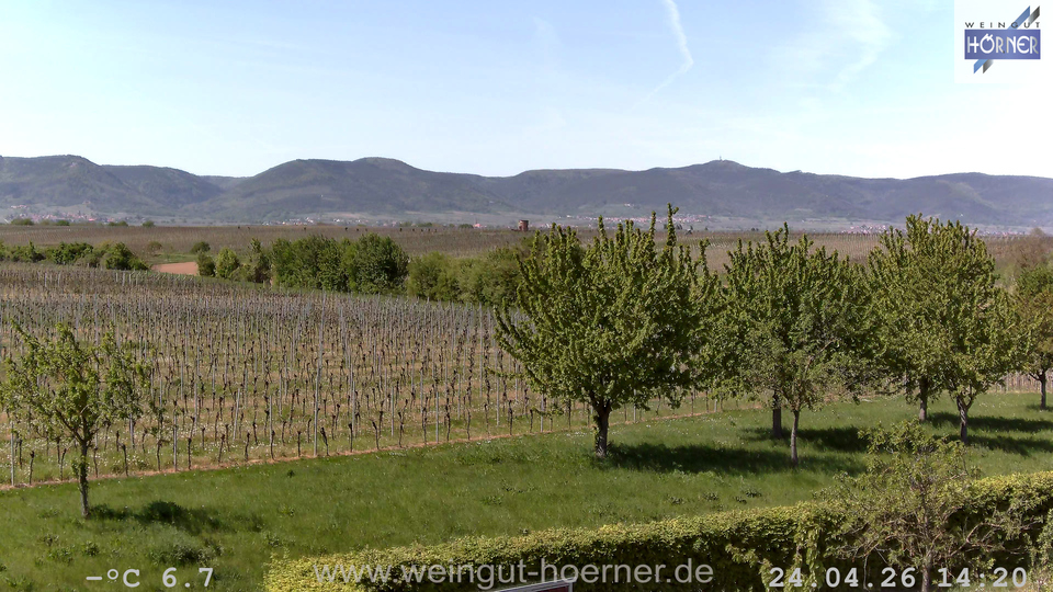 Webcam Weinberge Hochstadt