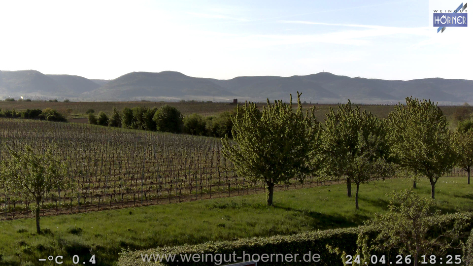 Webcam Weinberge Hochstadt