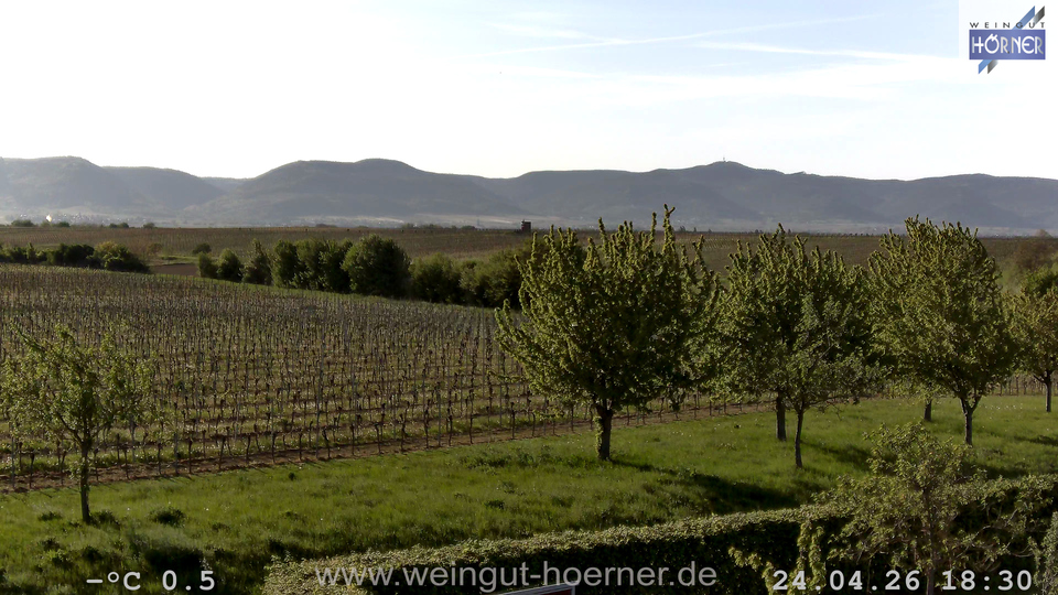 Webcam Weinberge Hochstadt
