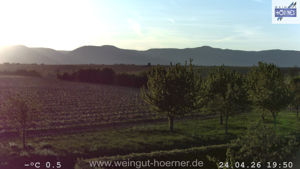 Webcam Weinberge Hochstadt