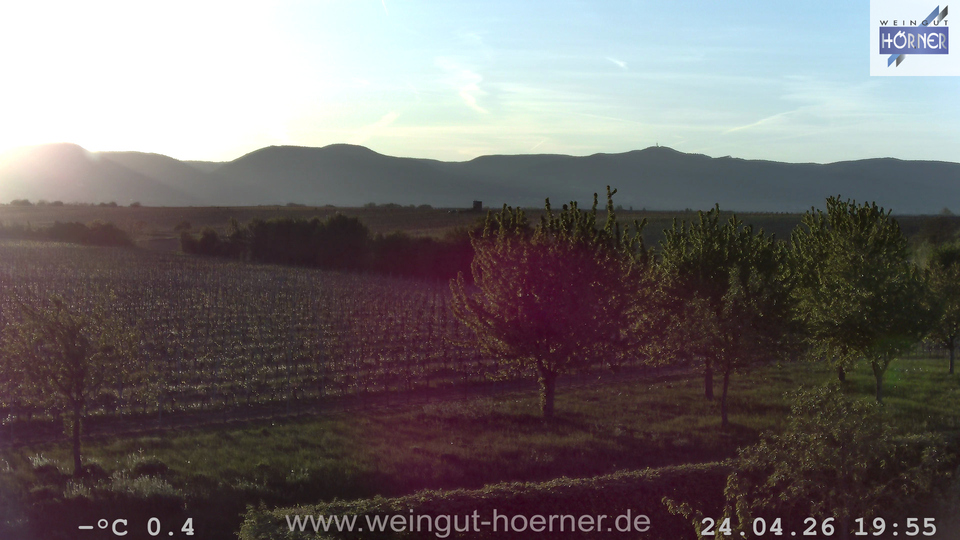 Webcam Weinberge Hochstadt