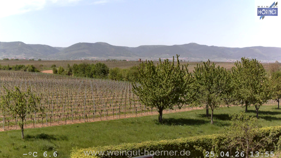 Webcam Weinberge Hochstadt
