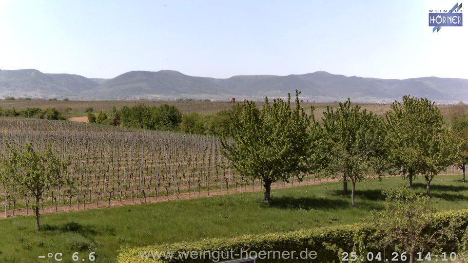 Webcam Weinberge Hochstadt
