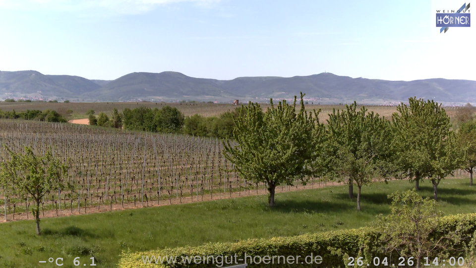 Webcam Weinberge Hochstadt
