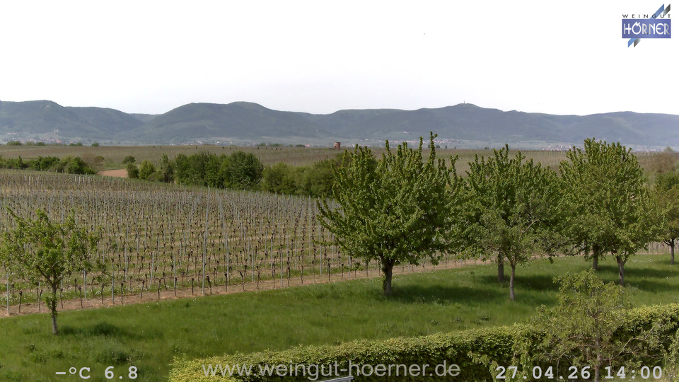Webcam Weinberge Hochstadt