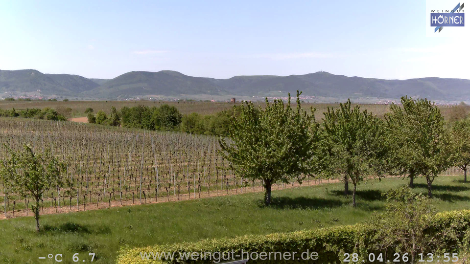 Webcam Weinberge Hochstadt