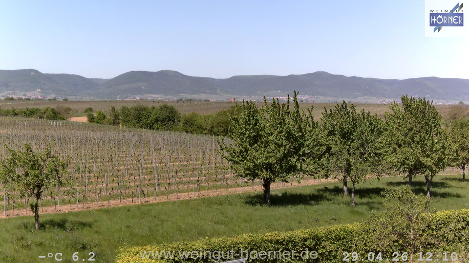 Webcam Weinberge Hochstadt