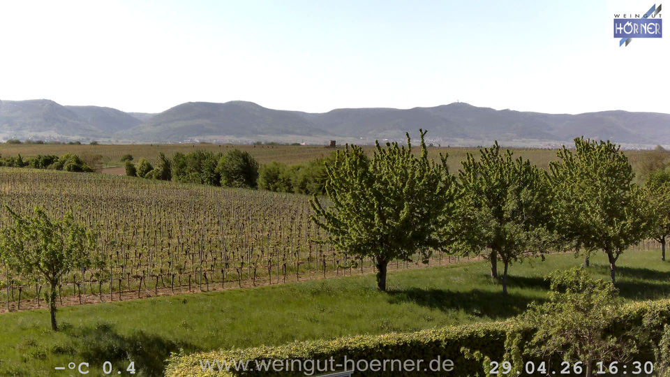 Webcam Weinberge Hochstadt