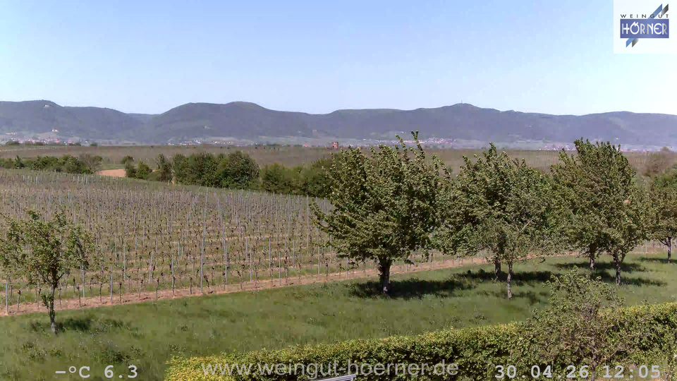 Webcam Weinberge Hochstadt