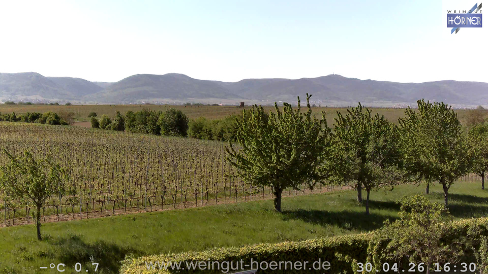 Webcam Weinberge Hochstadt