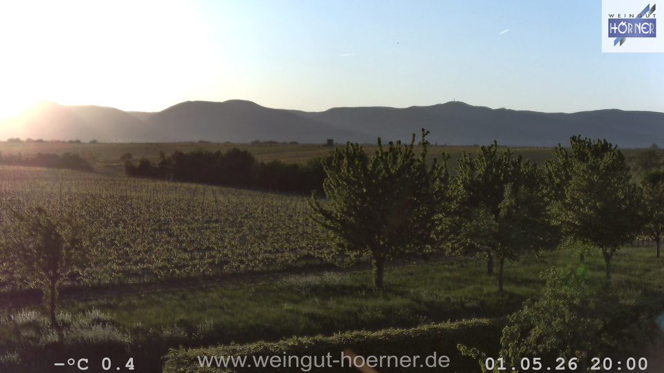 Webcam Weinberge Hochstadt