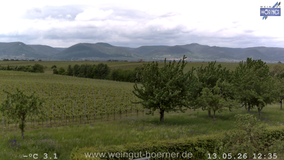 Webcam Weinberge Hochstadt