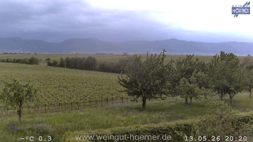 Webcam Weinberge Hochstadt