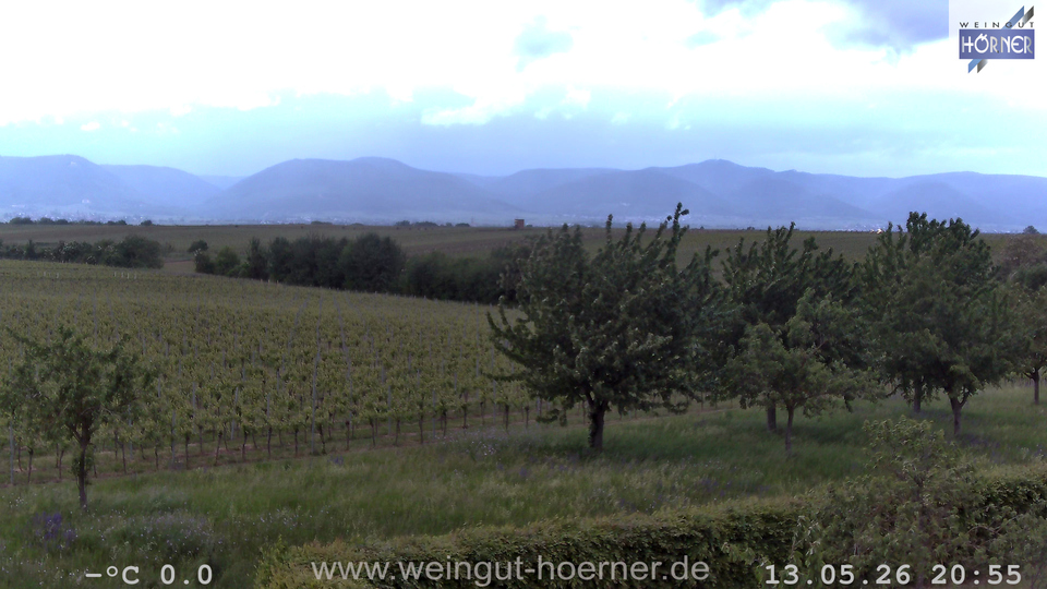 Webcam Weinberge Hochstadt