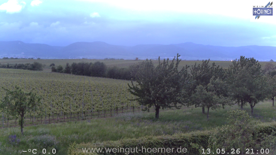 Webcam Weinberge Hochstadt