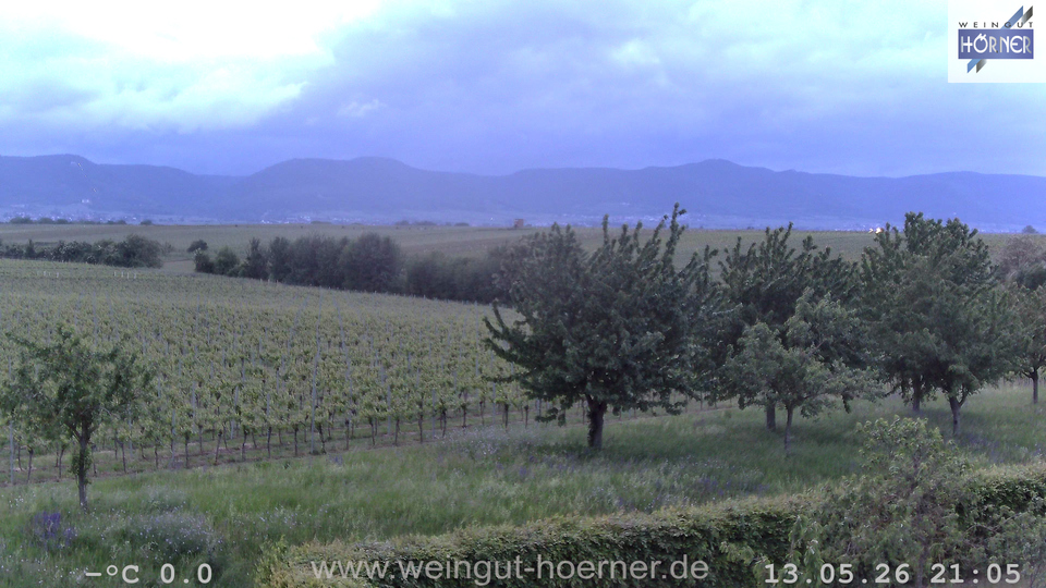 Webcam Weinberge Hochstadt