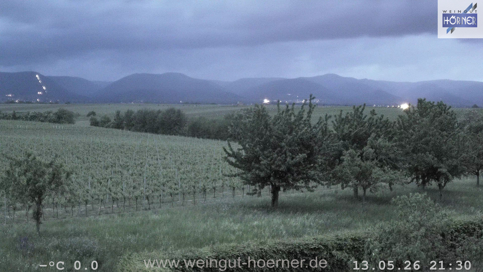 Webcam Weinberge Hochstadt