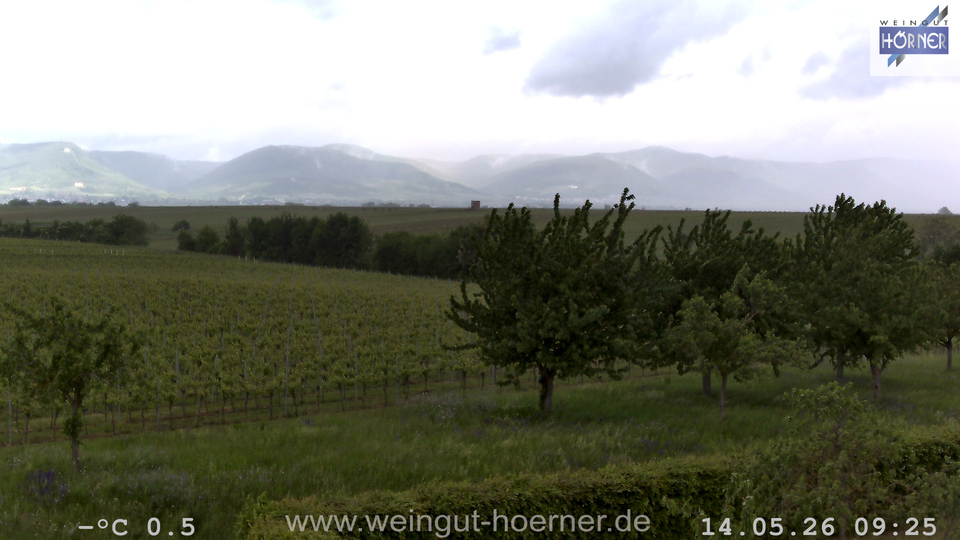 Webcam Weinberge Hochstadt