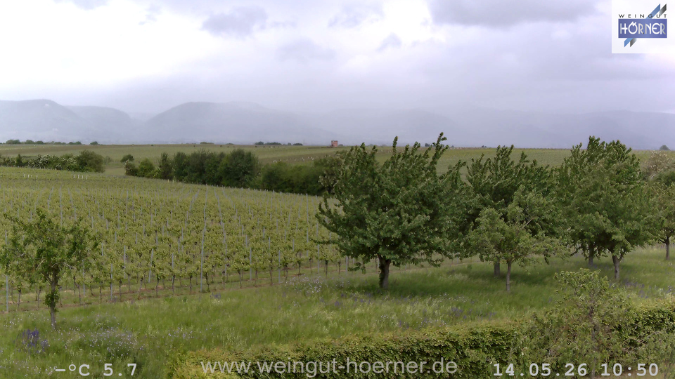 Webcam Weinberge Hochstadt