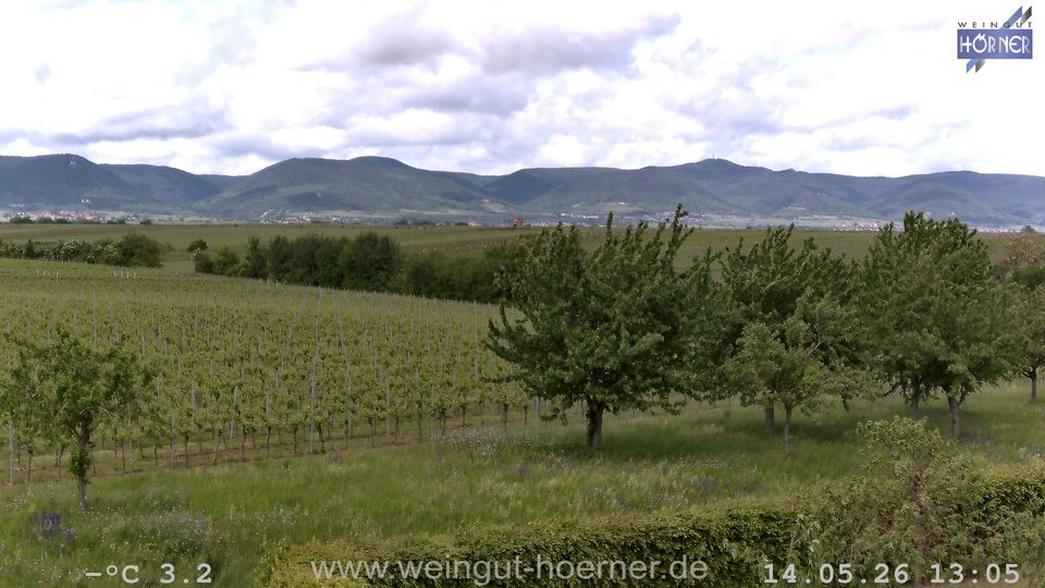 Webcam Weinberge Hochstadt