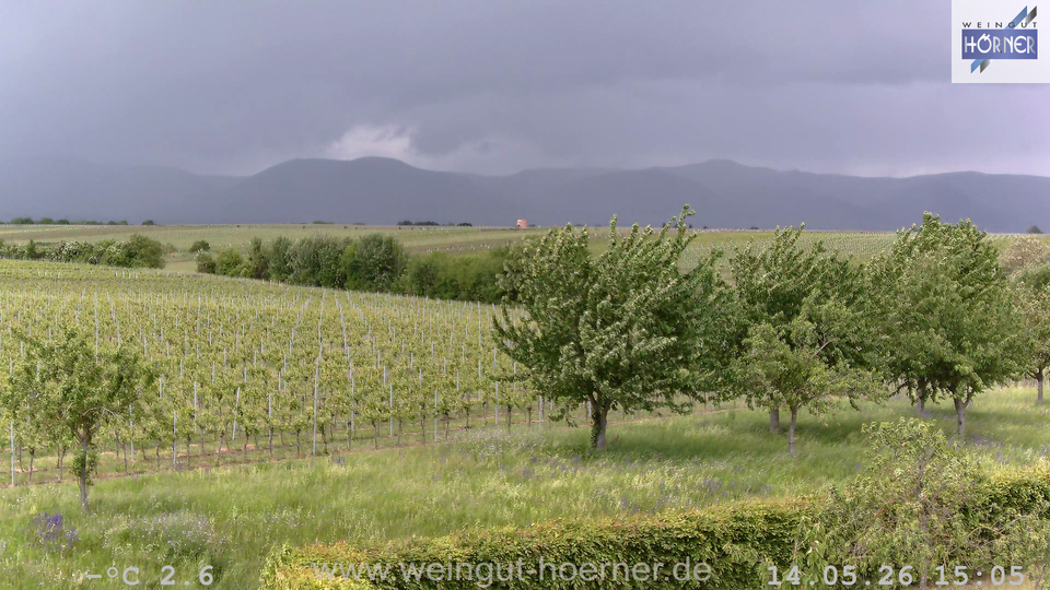 Webcam Weinberge Hochstadt