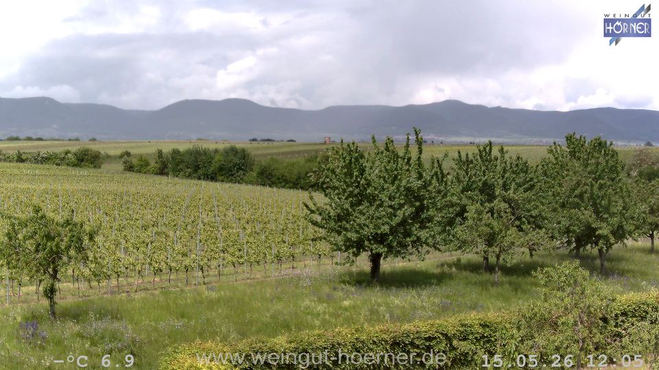 Webcam Weinberge Hochstadt