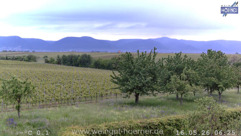 Webcam Weinberge Hochstadt