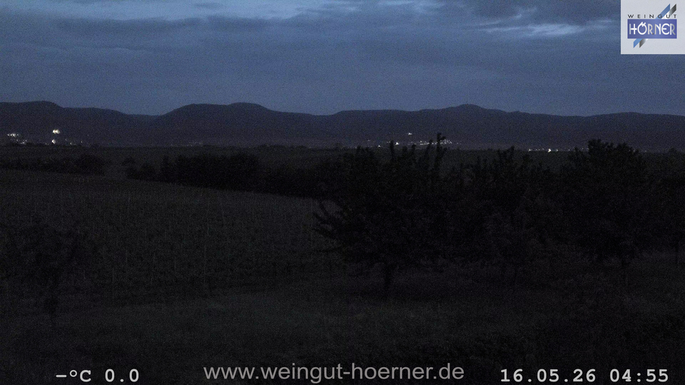 Webcam Weinberge Hochstadt