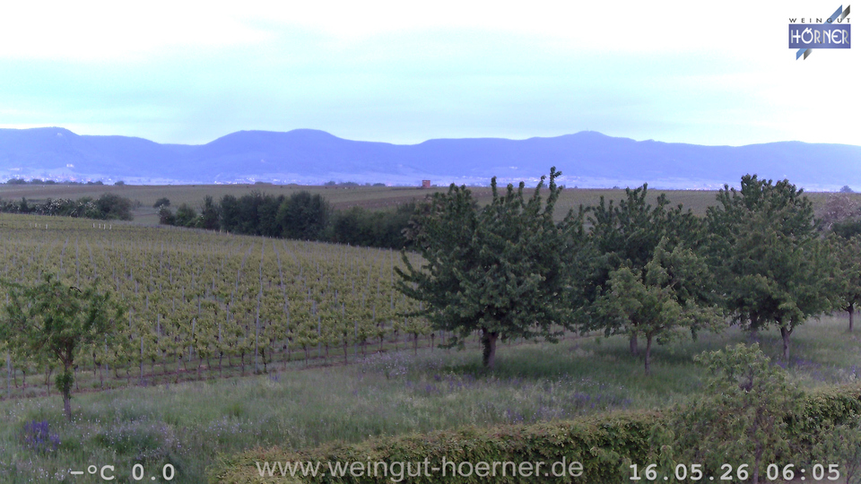 Webcam Weinberge Hochstadt