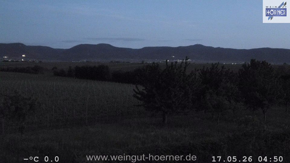 Webcam Weinberge Hochstadt