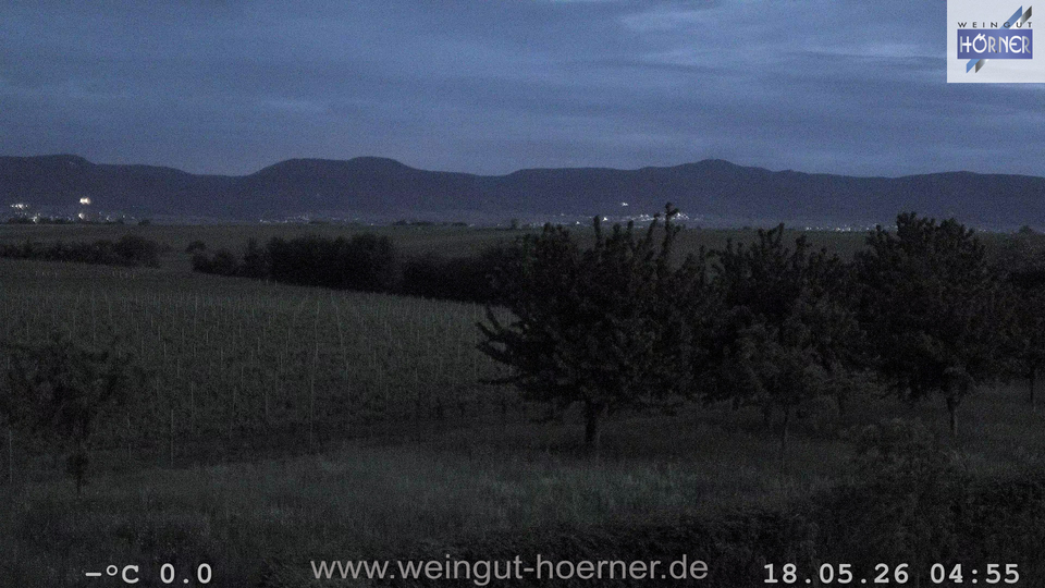Webcam Weinberge Hochstadt