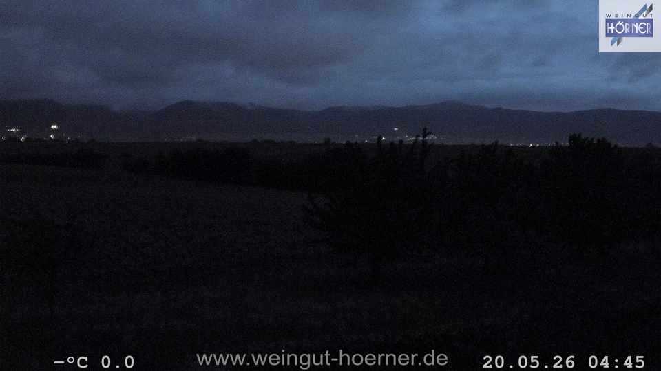 Webcam Weinberge Hochstadt