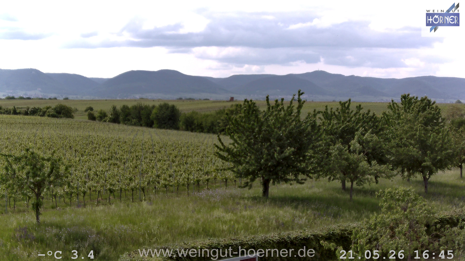 Webcam Weinberge Hochstadt