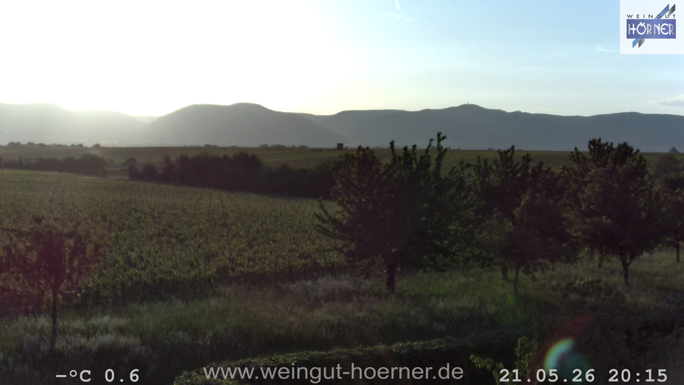 Webcam Weinberge Hochstadt
